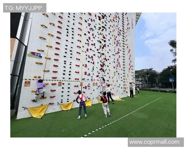 攀岩爱好者必看：如何挑选合适的防护垫及推荐品牌解析