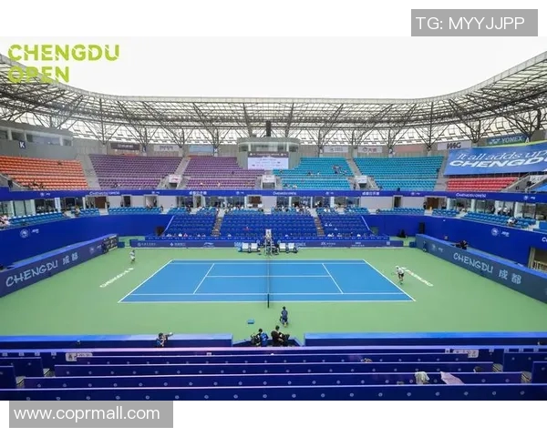 成都网球队引领最新网球技术TOP10盘点精彩技巧与训练方法