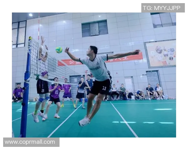 排球灵活性排行榜揭晓北京排球队荣获第九名成就引关注