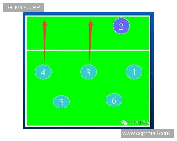 深入分析TES战队的进攻策略与战术特点探讨