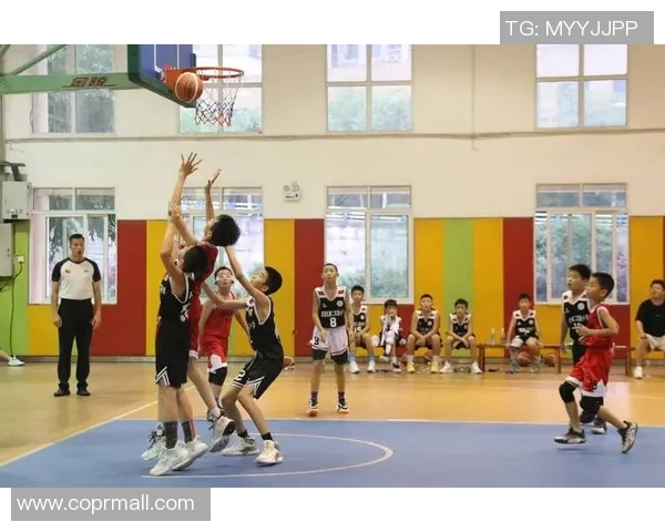 重庆篮球队荣登全国篮球比赛经验排行榜第十位的背后故事与启示